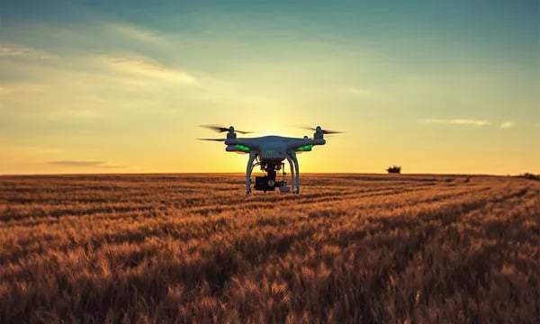 🌿 Inteligencia Artificial en la Agroindustria: El Caso de Éxito de SpectralGeo en la DOCa Rioja